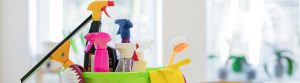 Cleaning Products